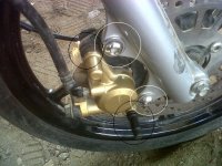IMG00205-20120122-0922.jpg