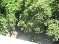 IMG_1617.JPG