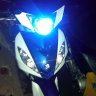 berting79
